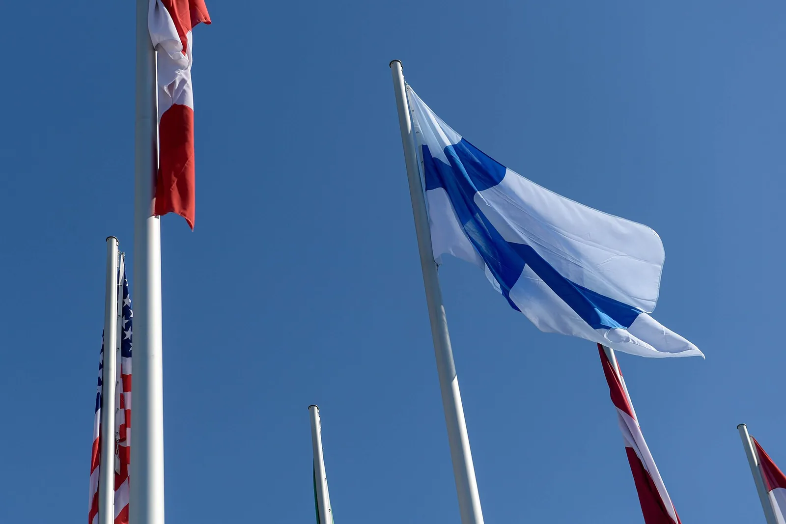 Suomen lippu liehuu muiden lippujen joukossa